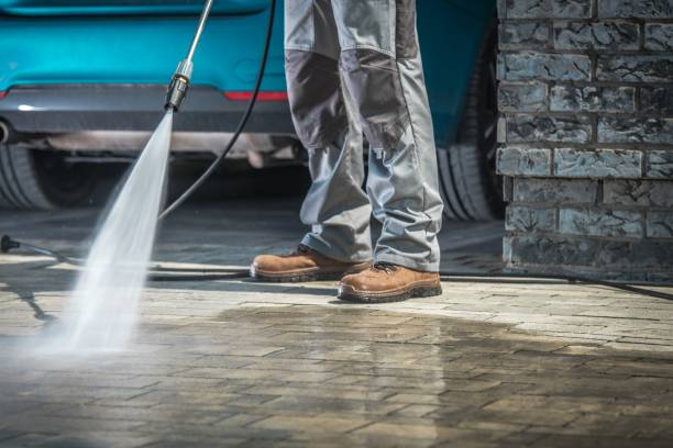 Best Boat and Dock Cleaning  in Lochearn, MD