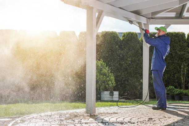 Best Building Exterior Washing  in Lochearn, MD