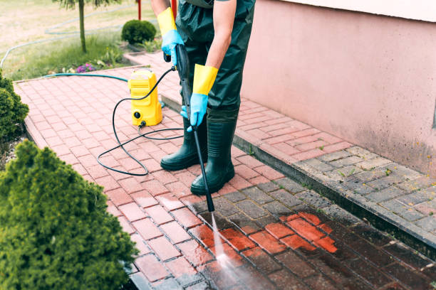 Best Animal Enclosure Cleaning  in Lochearn, MD