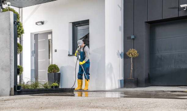 Best Paint Preparation  in Lochearn, MD